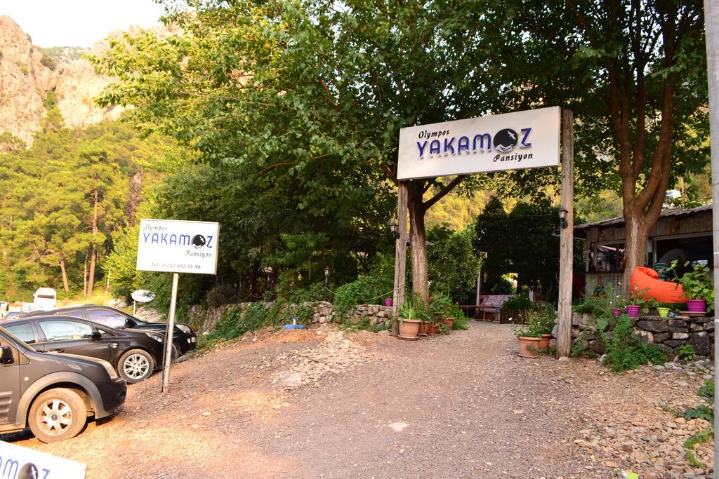 Olympos Yakamoz Pansiyon Exteriér fotografie