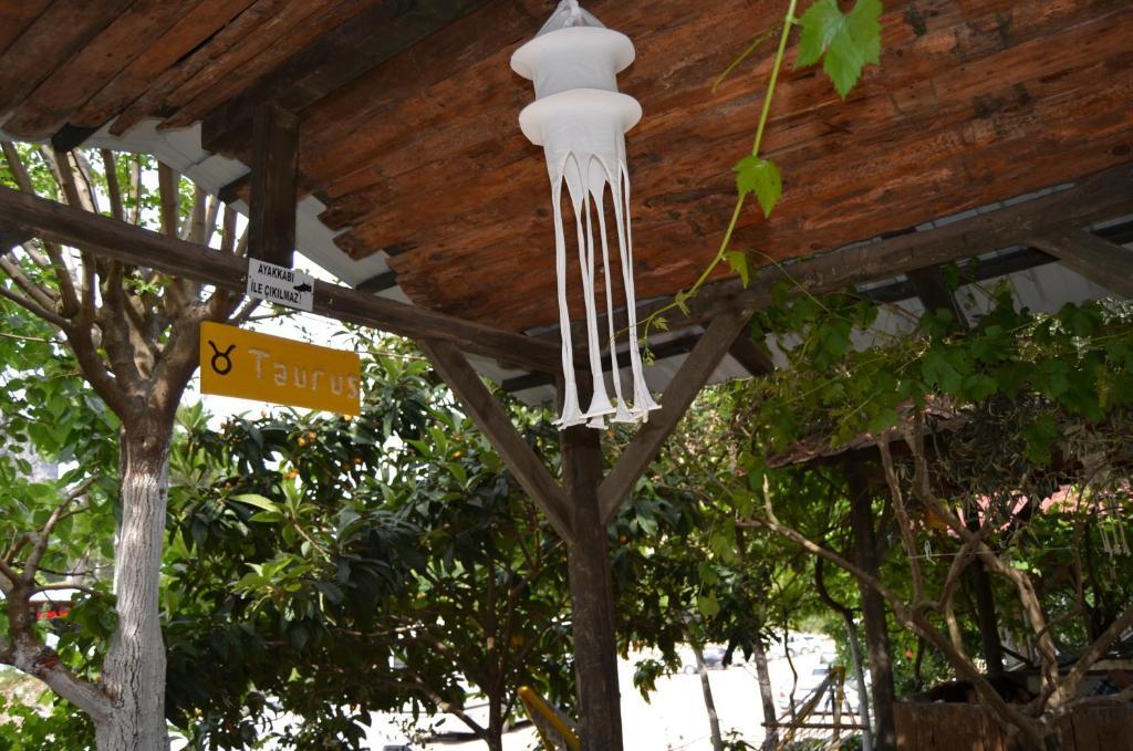 Olympos Yakamoz Pansiyon Exteriér fotografie