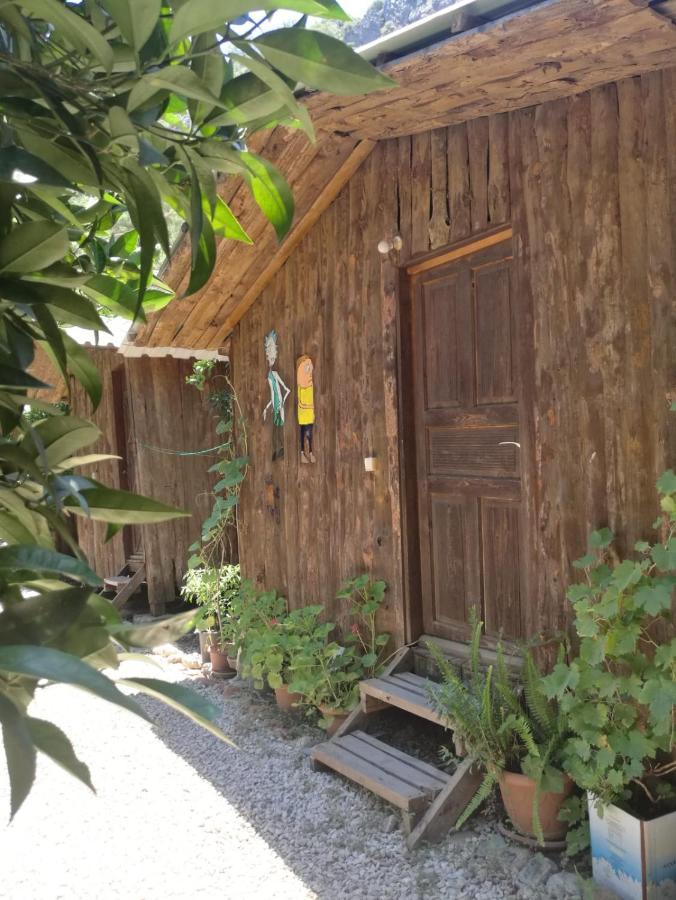 Olympos Yakamoz Pansiyon Exteriér fotografie